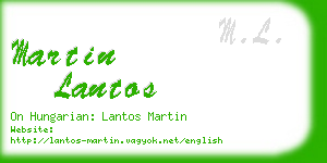 martin lantos business card